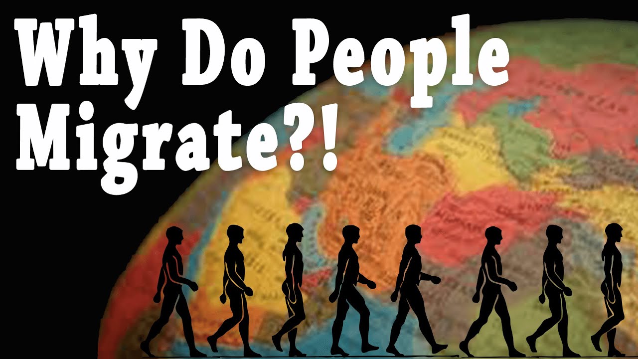 Why do people migrate: example and key details