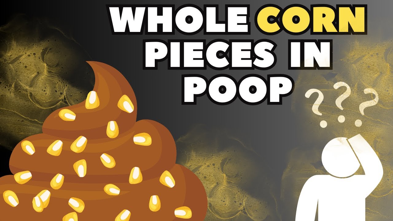 Why can you see corn in poop: visual explanation