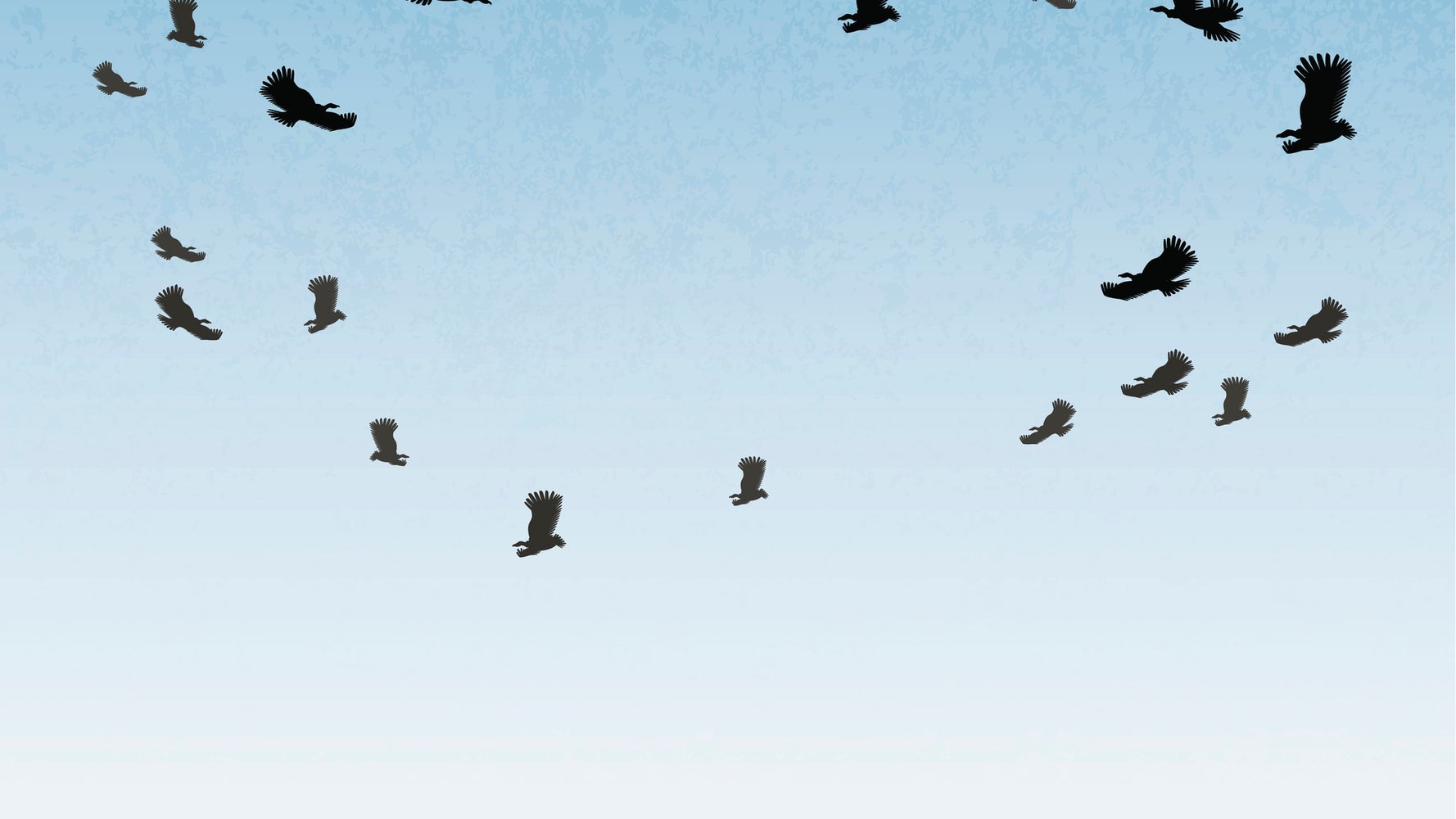 Why do vultures circle in the air: visual explanation