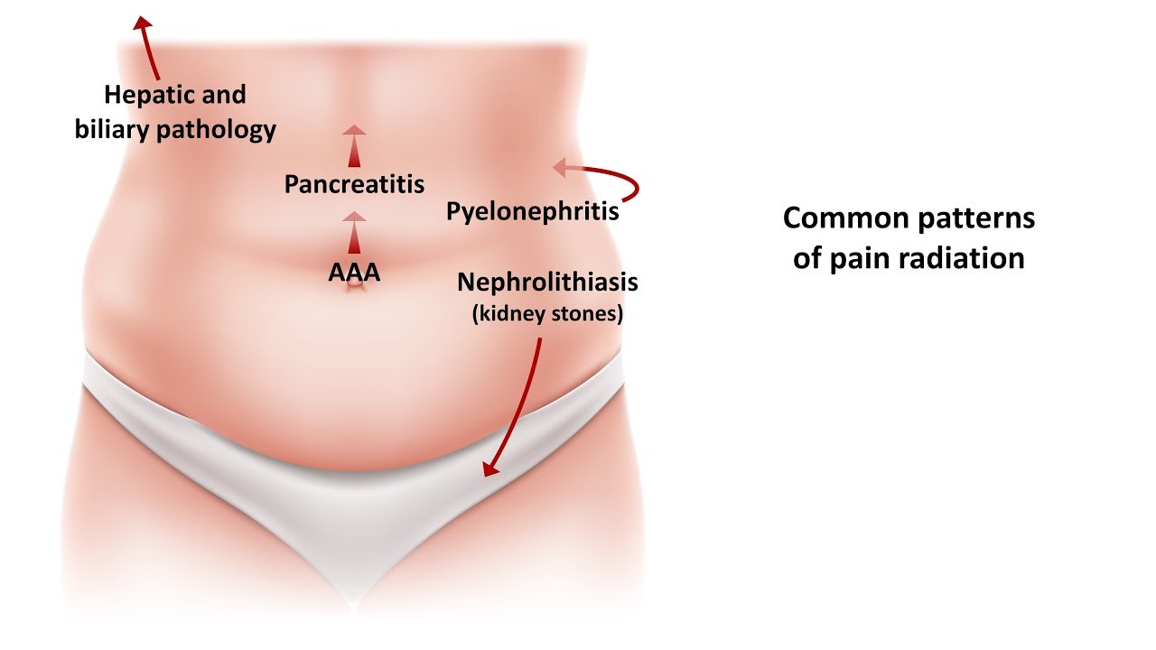Why do i feel pain on my lower abdomen: visual explanation