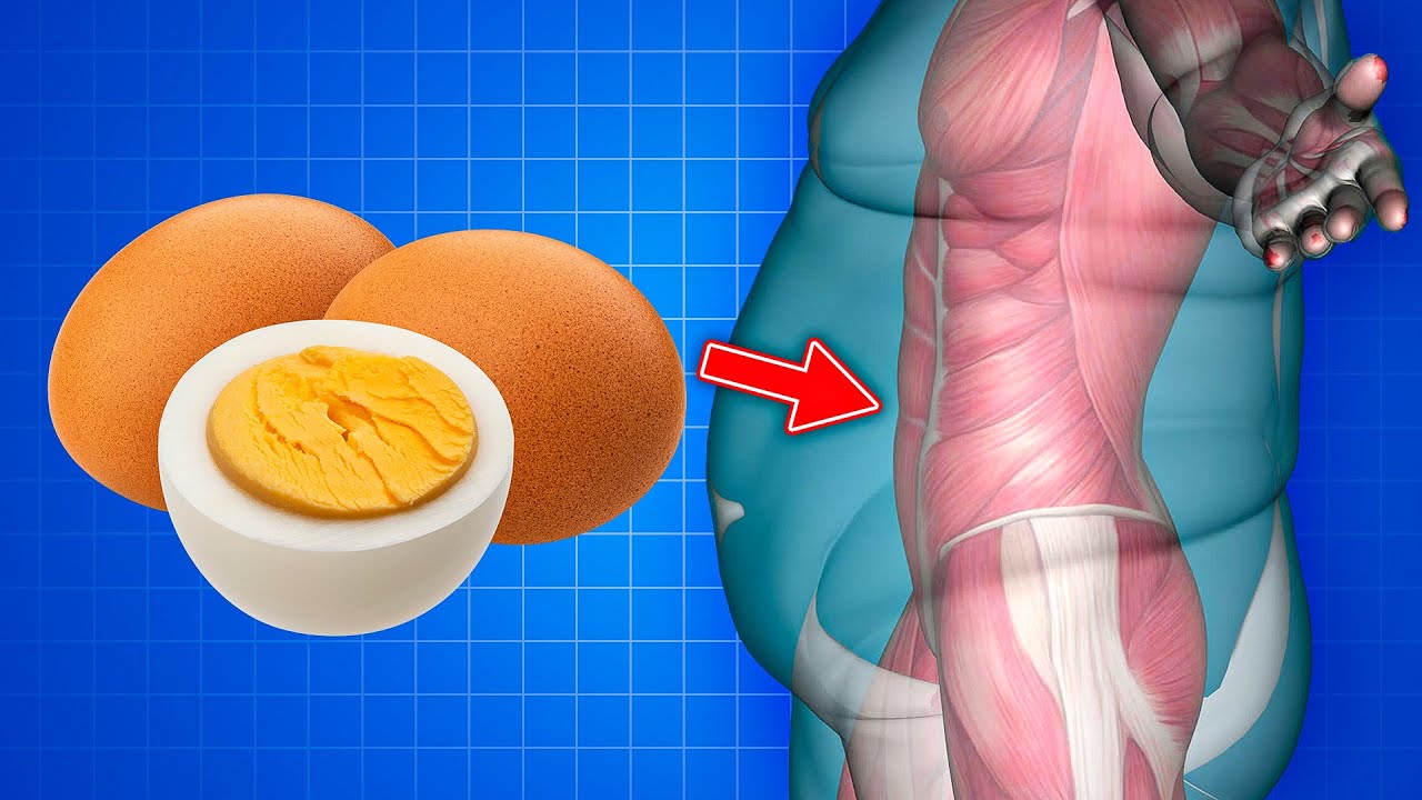 Is it safe to eat 3 eggs a day: main illustration