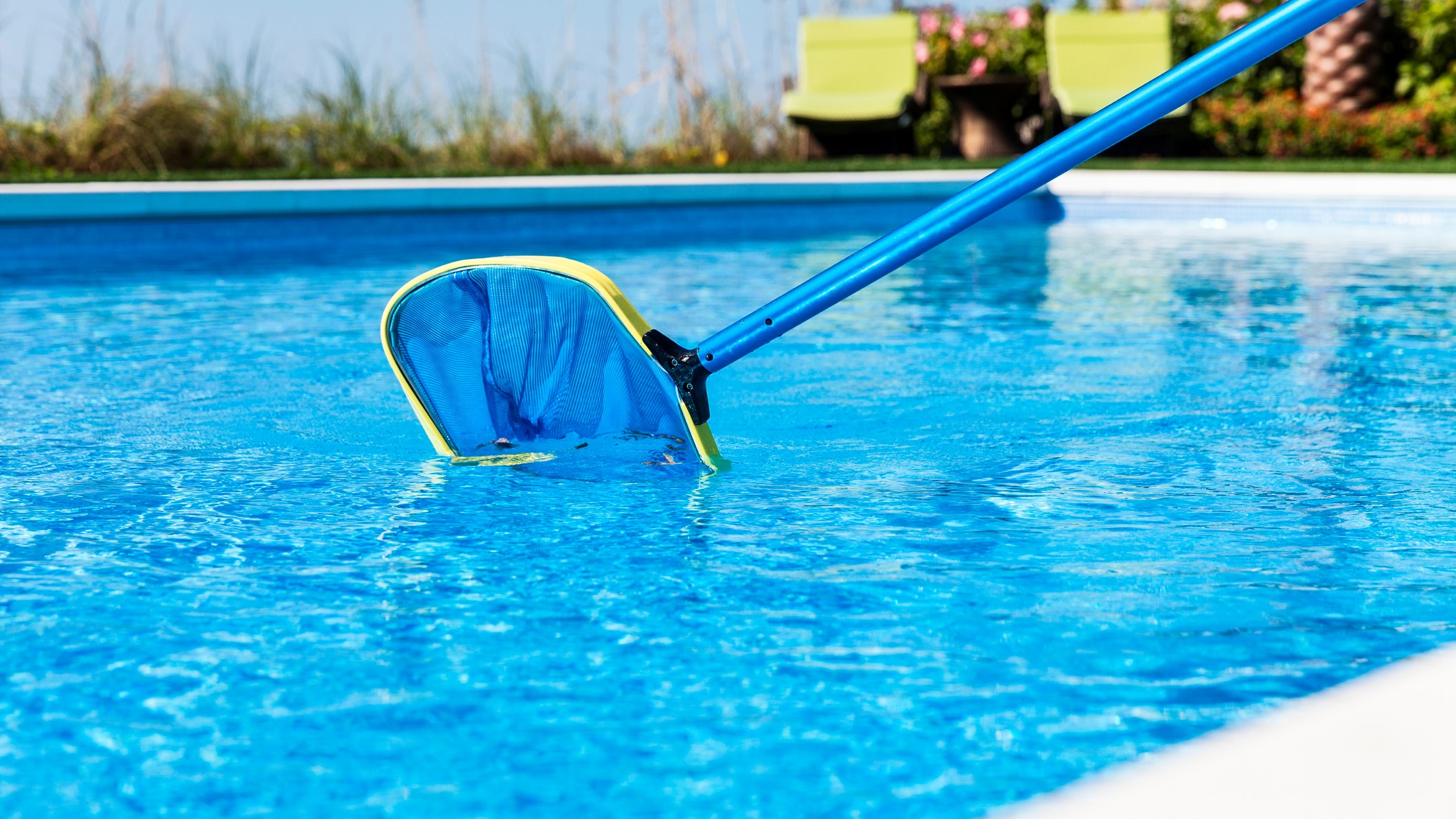 What happens if someone poops in the pool: main illustration