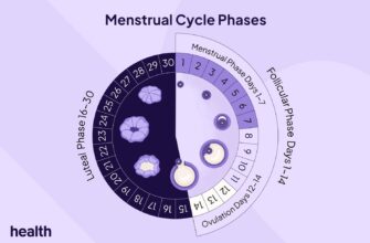 Health-Menstrual-Cycle-Phases-3-974a6b2d3ce041b28ffbe49864bca5d4