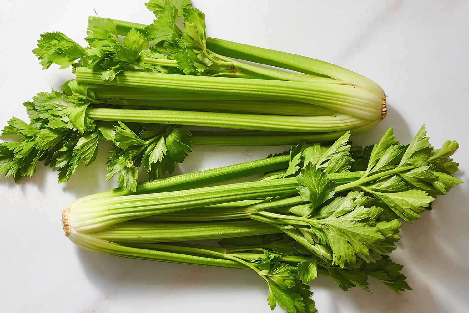 What is benefits of celery: main illustration