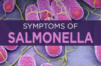 Salmonella