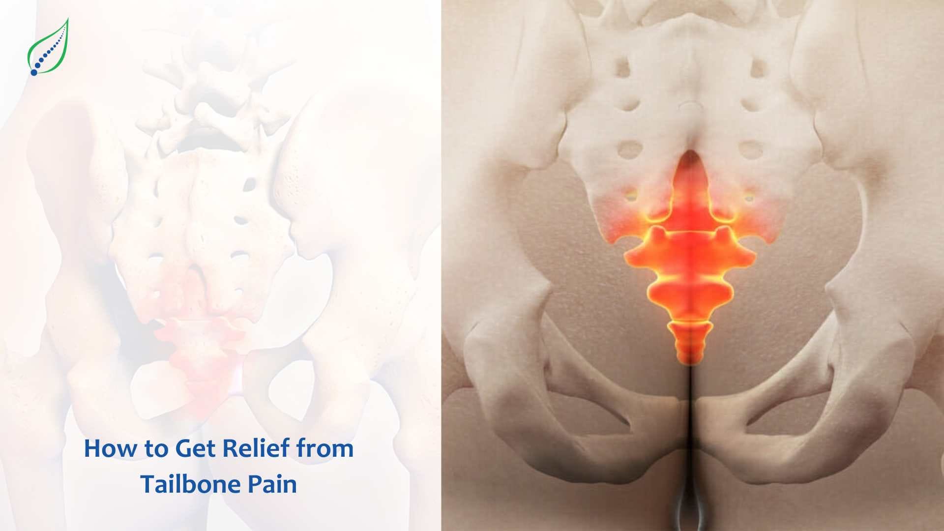 Why does tailbone pain: visual explanation