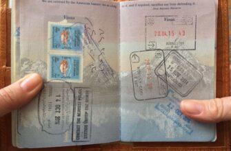 VISA_sample_1