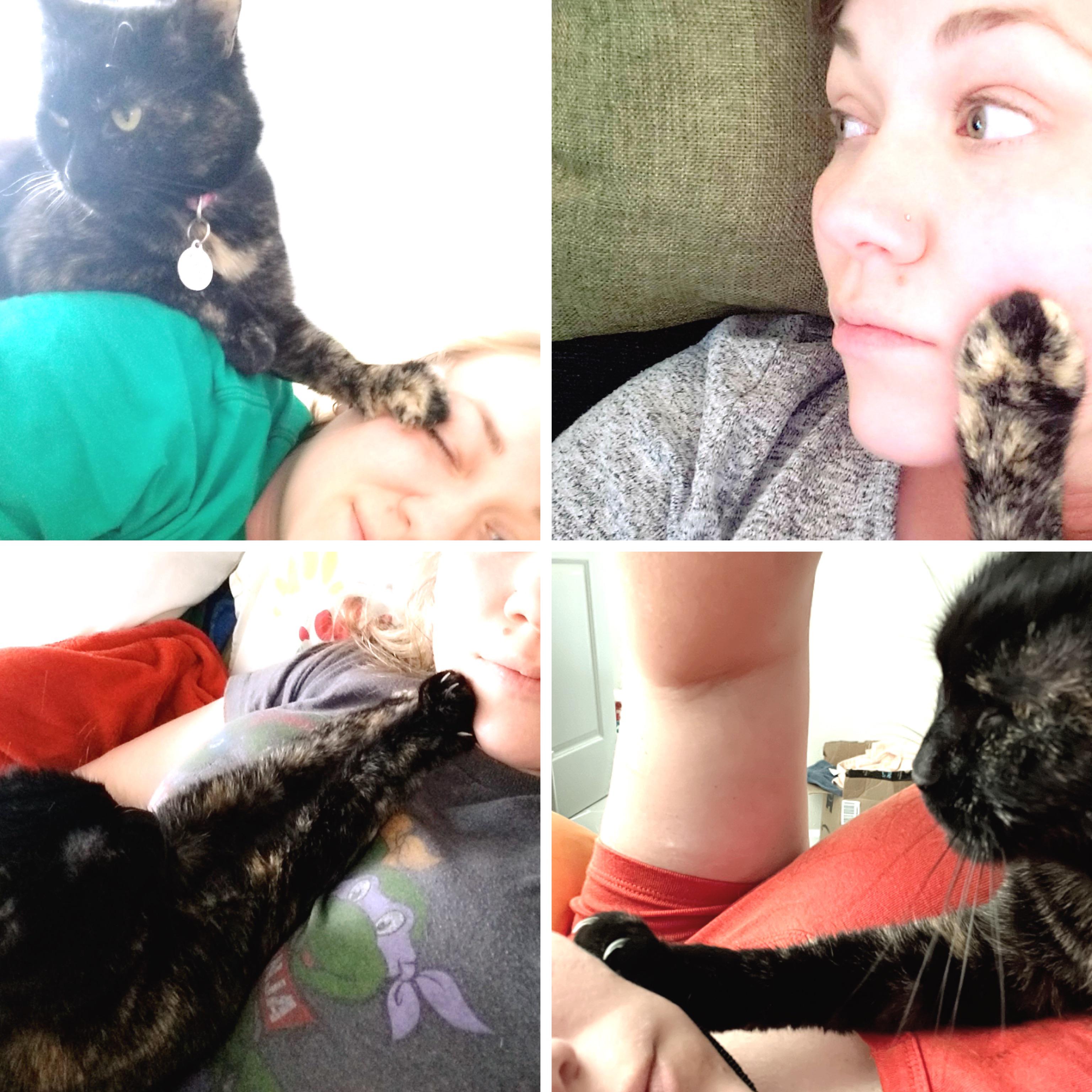 Why does my cat put her paw on my face: visual explanation