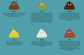 blog_poop2-scaled