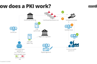 exploring-the-implications-of-a-company-going-public-key-insights