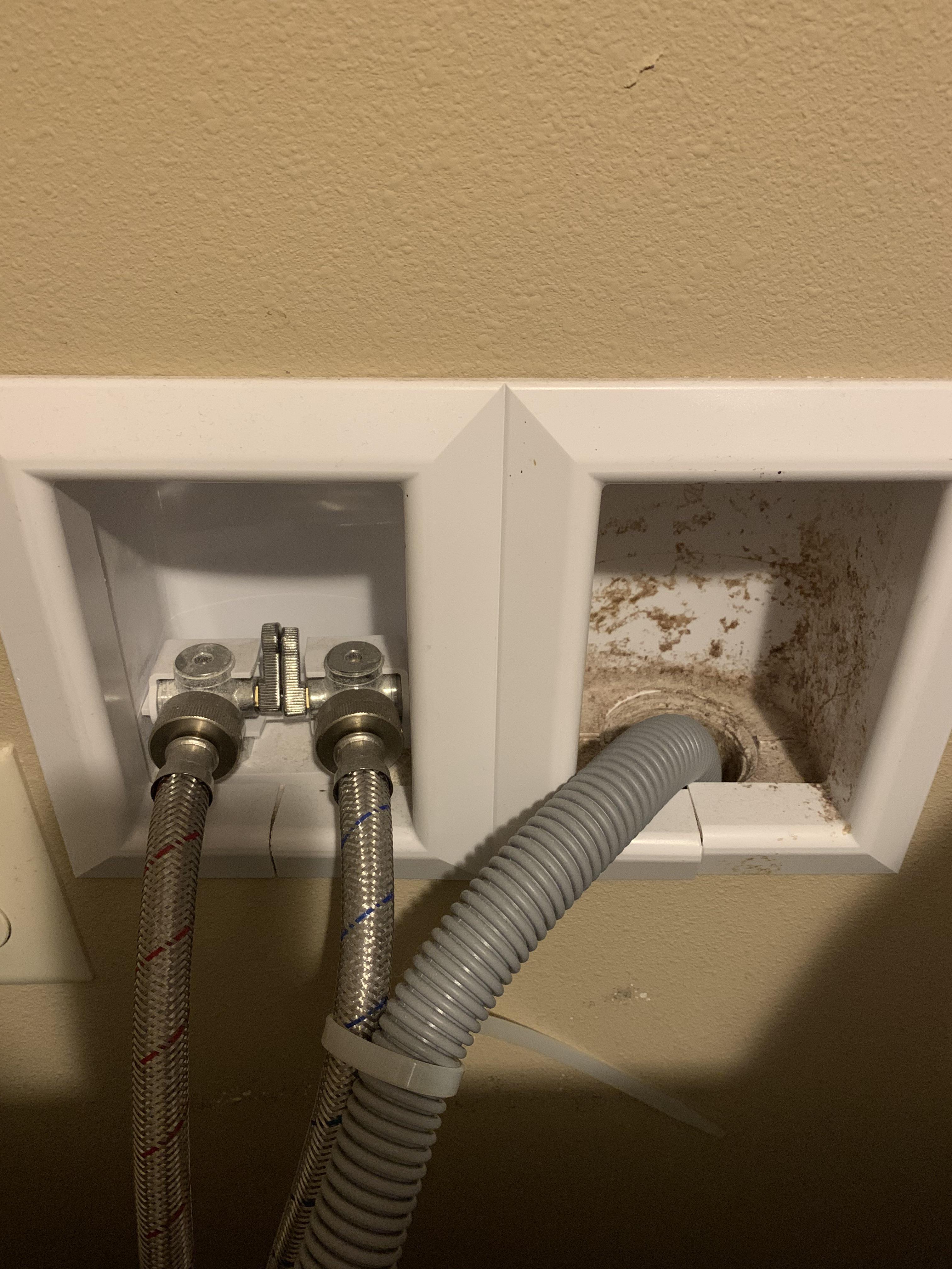 Why does my washing machine smell like sewer: main illustration