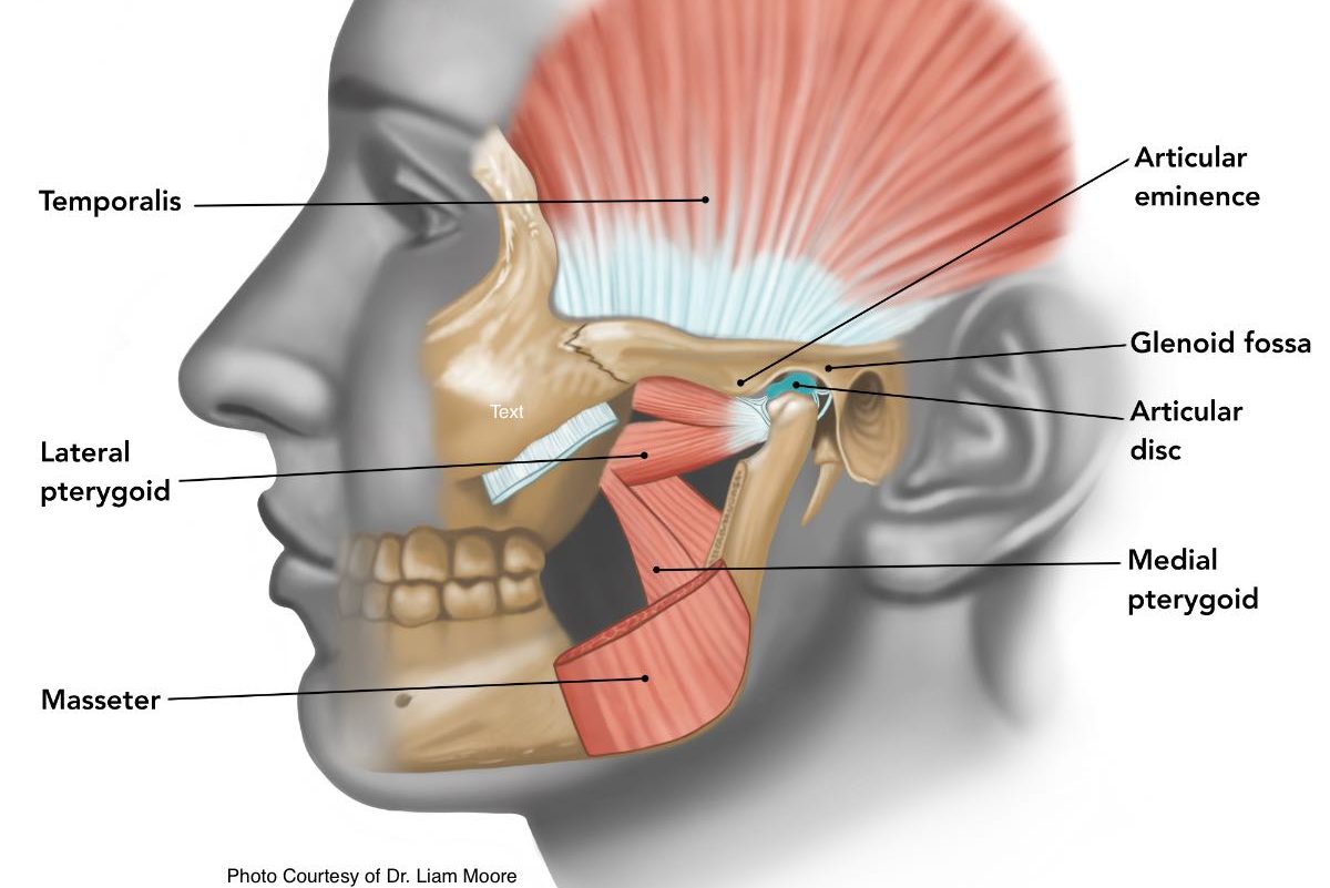What causes popping in the jaw: visual explanation