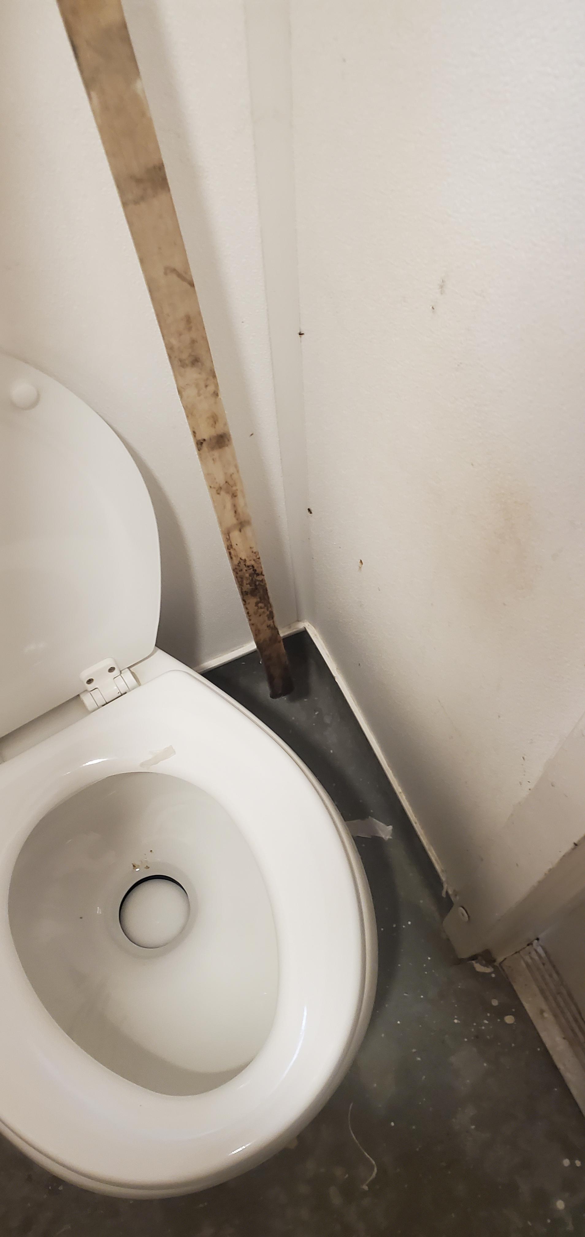 Is it bad if your poop sticks to the toilet: main illustration