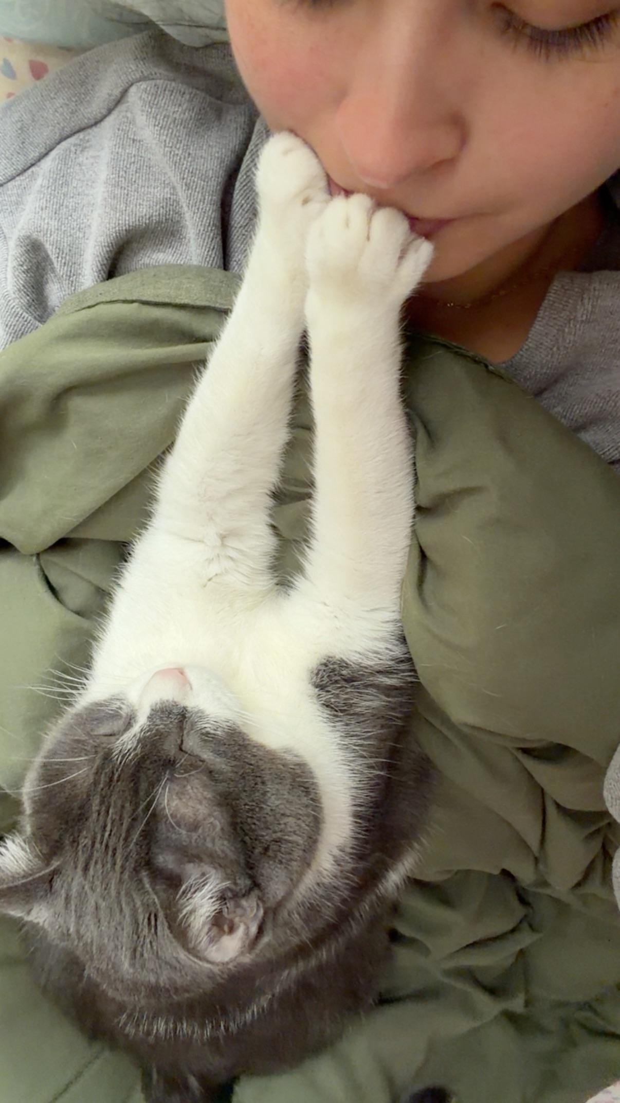 Why does my cat put her paw on my face: main illustration