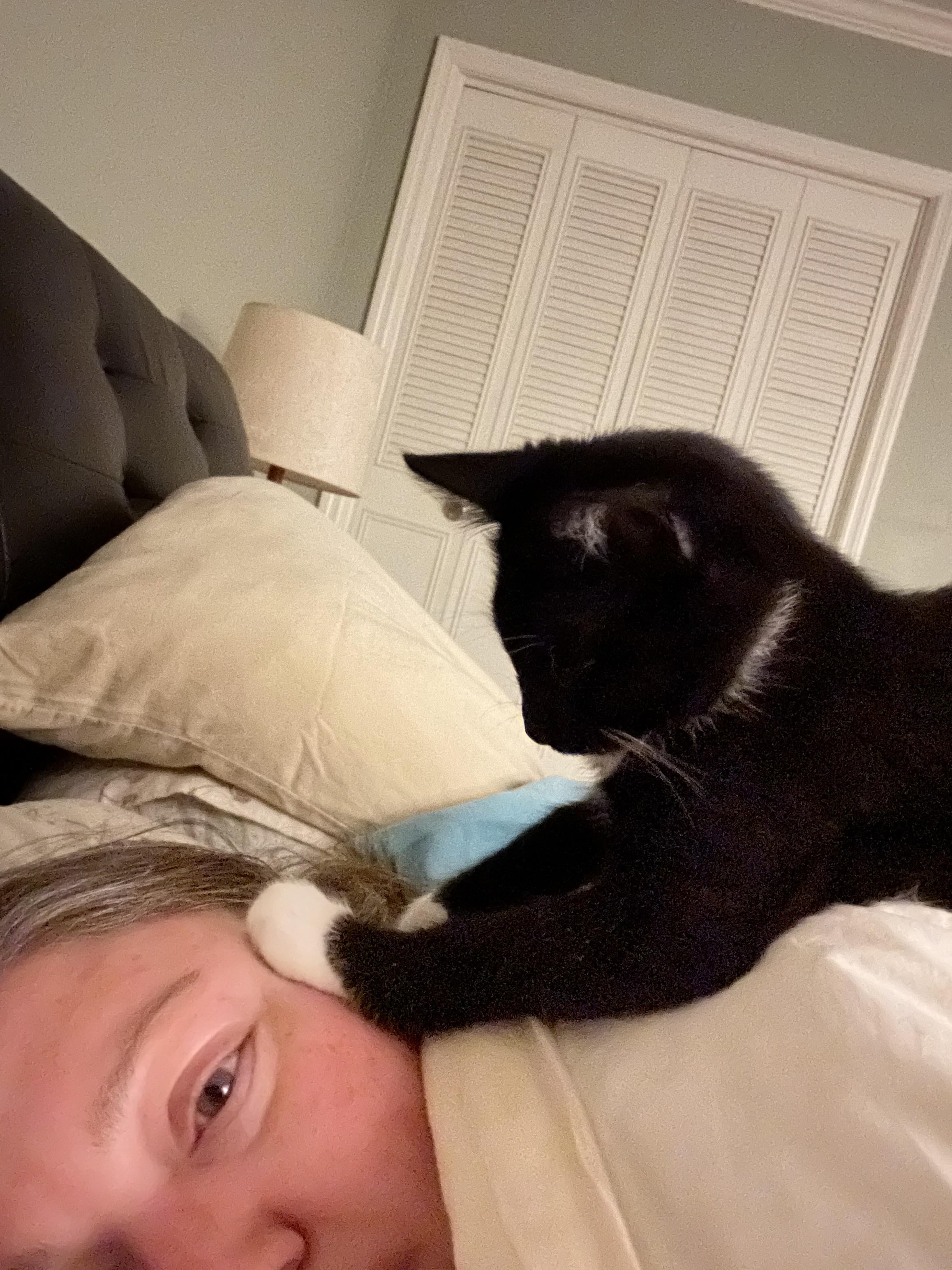 Why does my cat put her paw on my face: example and key details