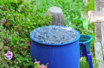 why-is-it-illegal-to-collect-rainwater-1-1700673781828